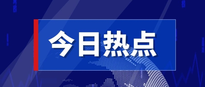 2023年1月中国农药价格指数（CAPI）